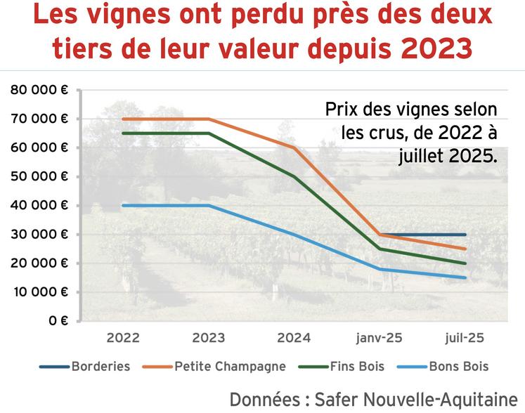Prix des vignes en Charente-Maritime (2022 - 2025).