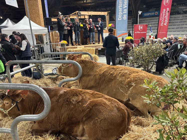 L'inauguration s'est tenue vendredi soir, en présence de très nombreuses personnalités politiques.