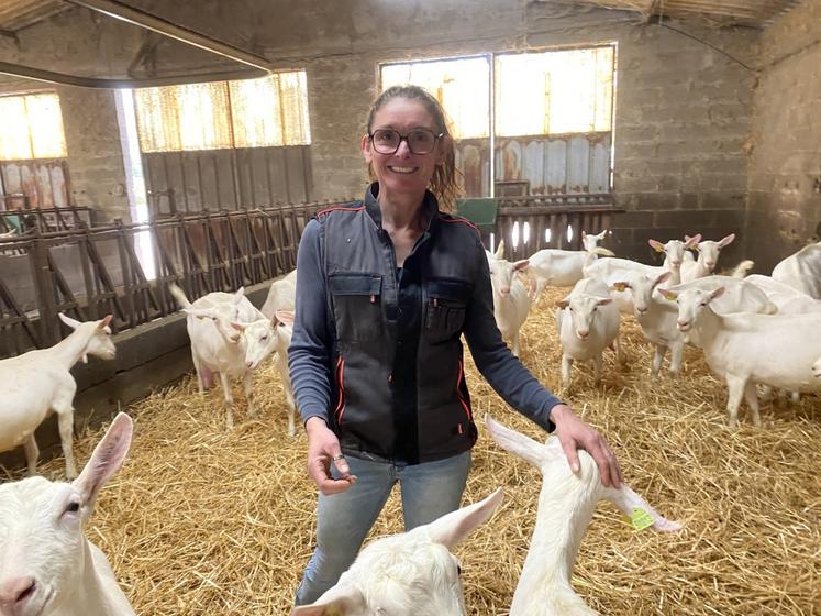 L'élevage d'Anne Boutet affiche une longévité record.