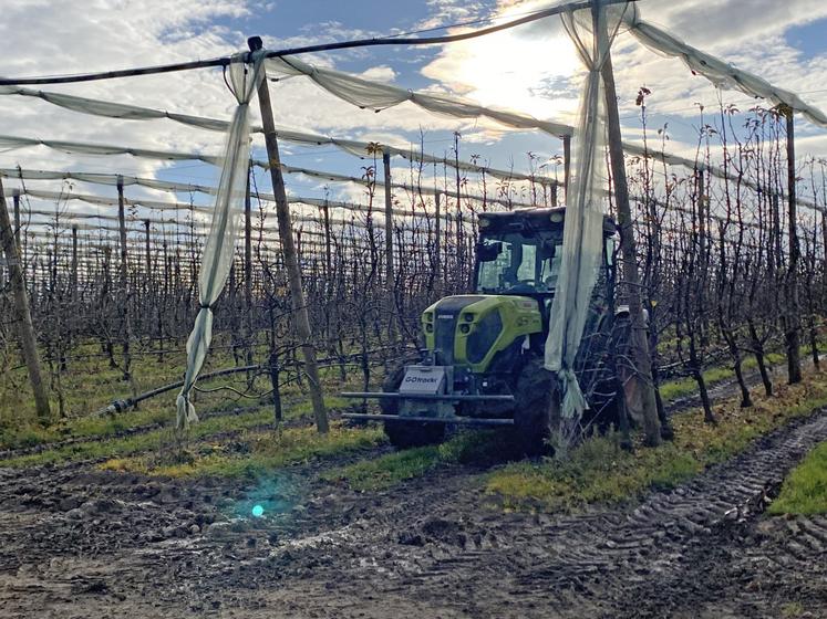 Le tracteur autonome, ici un Class Nexos 240L, passe dans
les rangs sans nécessiter de supervision.