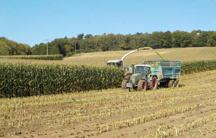 Avec des récoltes records en grandes cultures, le marché est inondé et peine à rémunérer correctement les producteurs.