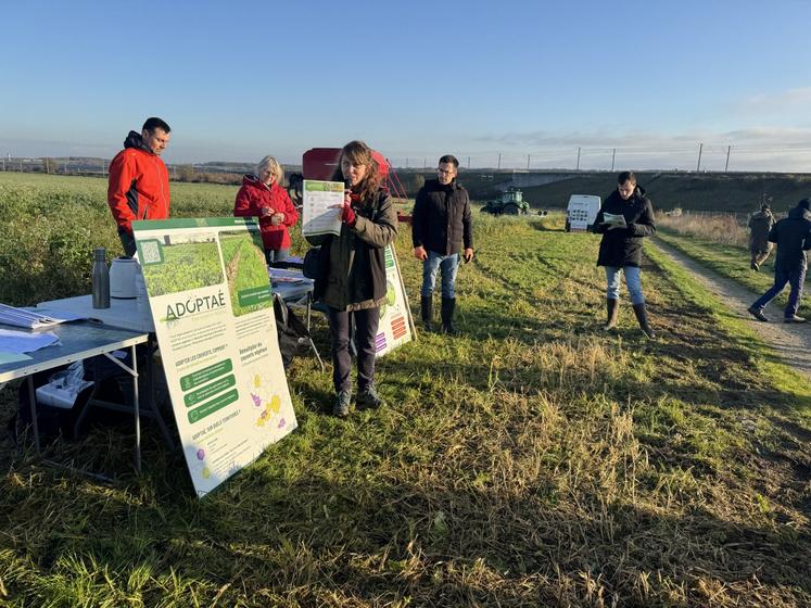 Le programme Adoptaé arrive en fin d'expérimentation à la fin de l'année.