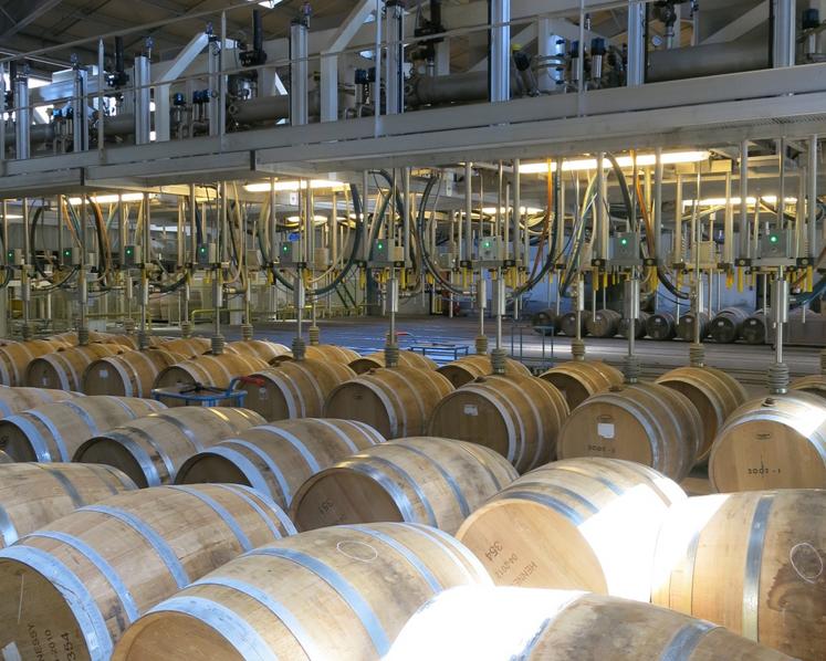 Chai de vieillissement du cognac chez le négociant Hennessy.