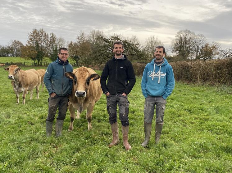 Guillaume, Richard et Vincent Gauthier, accompagnés d'Ocarina. Le troupeau est au pré huit mois de l'année.