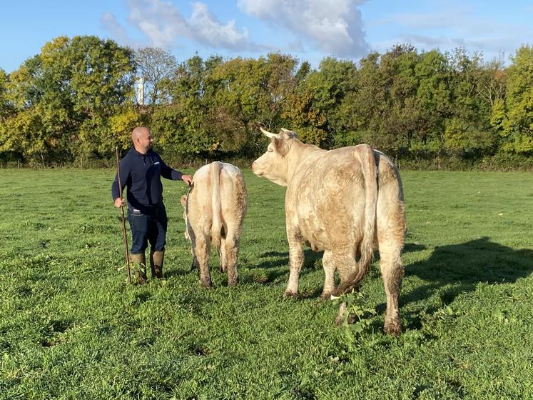 Gaetan Micheneau a choisi la race charolaise par habitude familiale, mais en a aussi fait une passion qui l'emmène dans plusieurs concours à travers le pays.