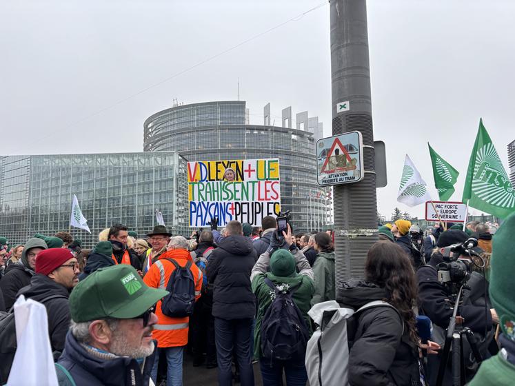 L'action a été en priorité menée devant le Parlement.