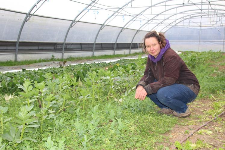 Claire Boutreux dans l'une des deux serres de près de 300m2 de son exploitation qui s'étend sur 1,2ha.
