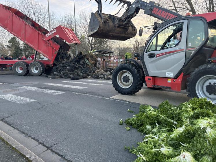 Plusieurs bennes et salades d'Espagne interceptées dans un poids lourd ont été déversées à la DDT.