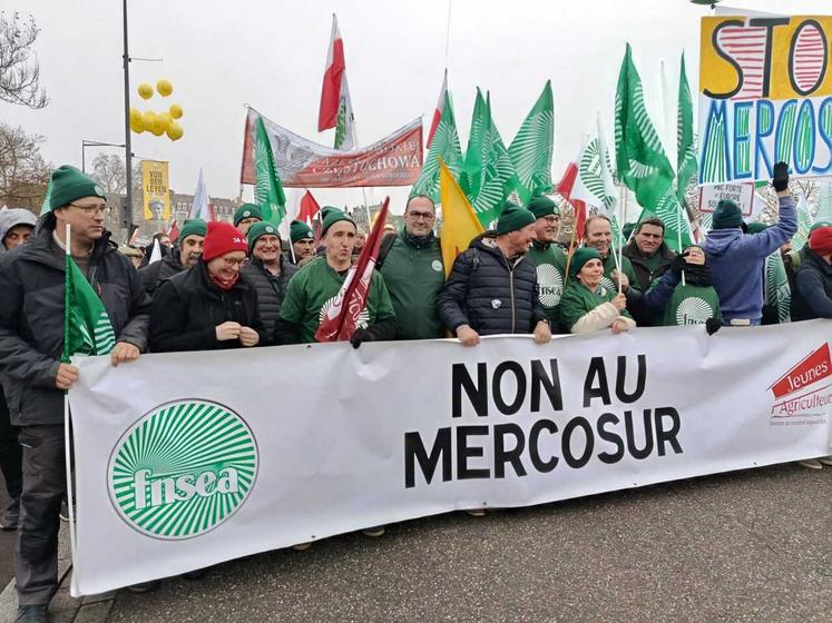 Sept Charentais-Maritimes ont fait le déplacement lors de la manifestation européenne de Strasbourg.