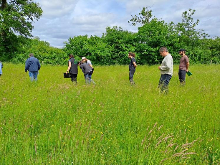 Un jury local, composé d'experts en agronomie, en botanique, en apiculture et en paysages, est venu noter la parcelle de Damien Berthomier.