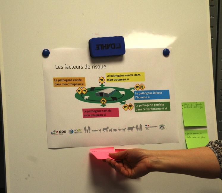 Les participants à la formation ont analysé à la fois comment empêcher les pathogènes de s'installer dans l'élevage et empêcher leur diffusion en dehors.