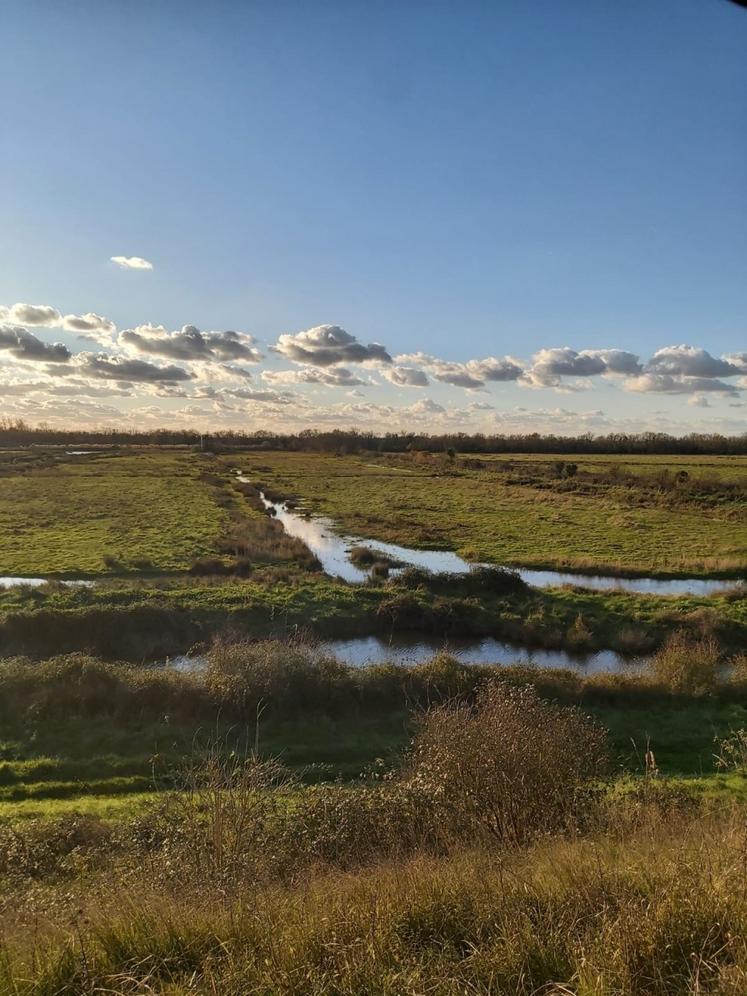 Même lors de ses mois de fermeture, la réserve de chasse et de faune sauvage reste un lieu d'actions scientifiques et de gestion des milieux naturels.
