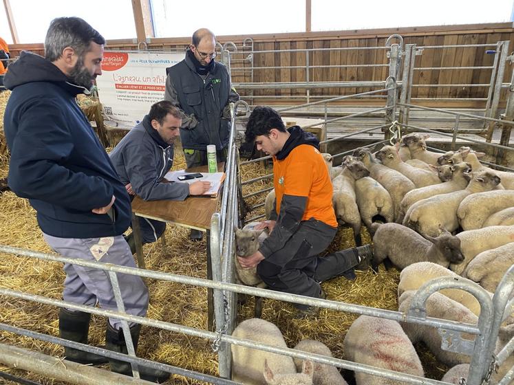 Les élèves doivent savoir manipuler les animaux rapidement et sûrement, et juger de leur état sans les mettre en inconfort.