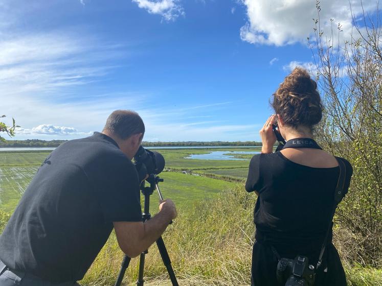 Des comptages ornithologiques sont réalisés tous les cinq jours, du 15 septembre au 1er avril, sur différents points répartis sur l'ensemble du site.