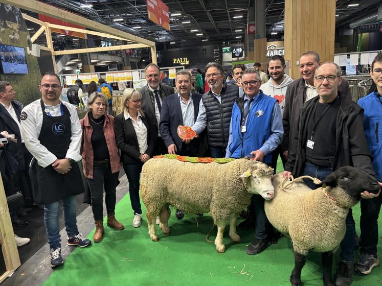 Philippe Berger a de nouveau remporté 7 prix au Sia, notamment avec ce bélier, déjà primé l'année dernière et à la Ferme s'Invite.