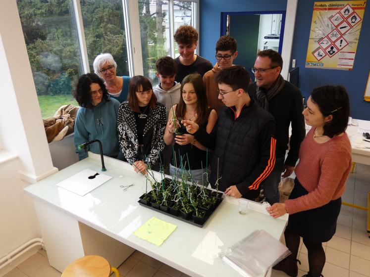 Les élèves de 1ère Production horticole doivent relever le défi de livrer 300 000 graines d'arabette des dames pour le projet ChlorISS.