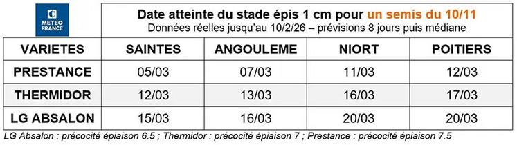 Tableau 3 : Date atteinte du stade épis 1 cm pour un semis du 10/11.