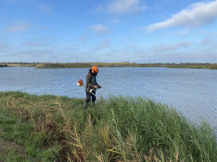 La période hivernale permet de réaliser des opérations d'entretien ayant pour objectif d'assurer la diversité des espèces végétales et animales du site.