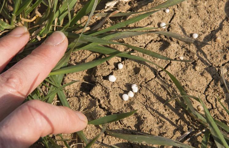 Quelle que soit la situation, il est impératif d'attendre un bon ressuyage avant toute intervention.