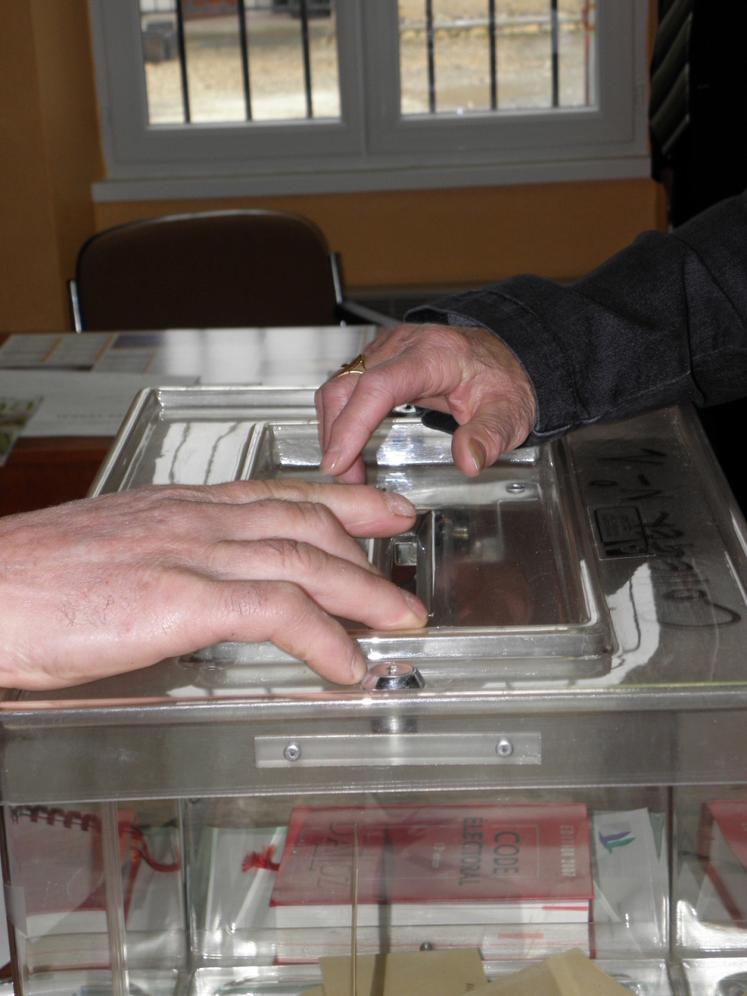 Les votes se dérouleront les 15 et 22 mars dans les 265 communes que compte la Vienne.