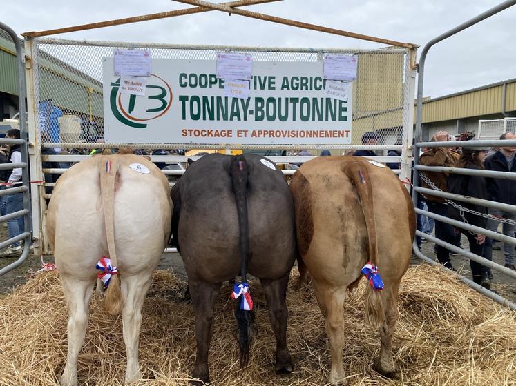 Un concours qui a tenu toutes ses promesses avec les 42 animaux.