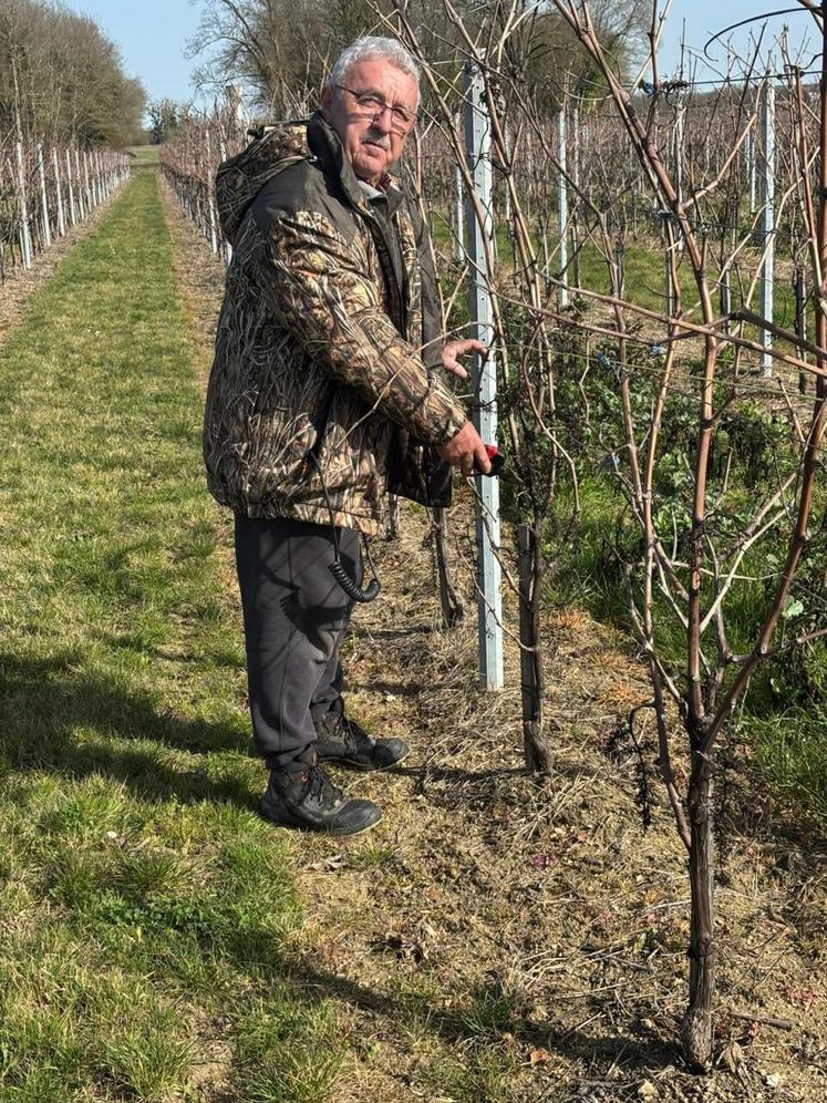 Les conseils issus de cette expérimentation ont notamment été testés par Jean-Jacques Gauthier, viticulteur retraité à Aumagne.