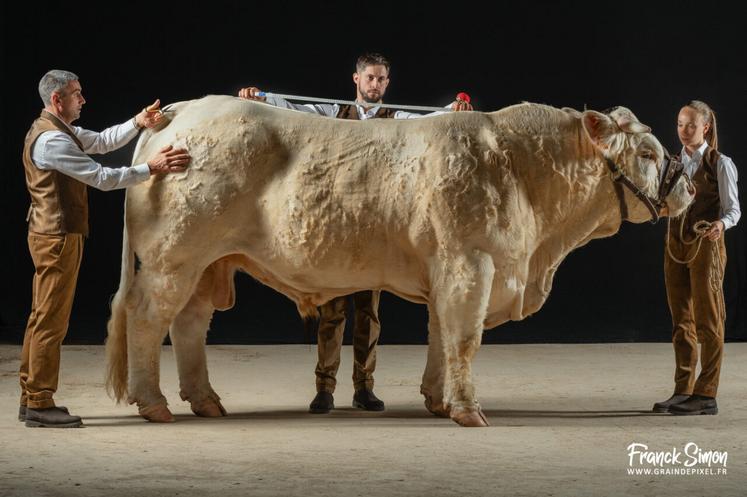 Franck Simon a réalisé la photo qui a servi à l'affiche du Sommet de l'élevage de Clermont-Ferrand en 2025.