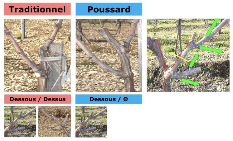 Les modes de taille en production.