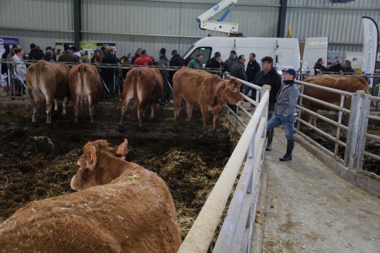 Le bâtiment a été aménagé pour optimiser le travail quotidien.