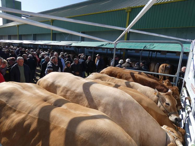 Rendez-vous est donné le lundi 16 mars. 