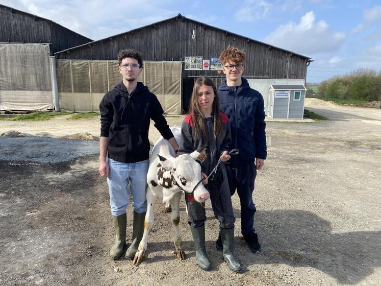 Arthur Crochet, Abbygaël Lamoureux et Benjamin Augeraud se préparent pour accueillir la journée de formation dédiée au concours. 