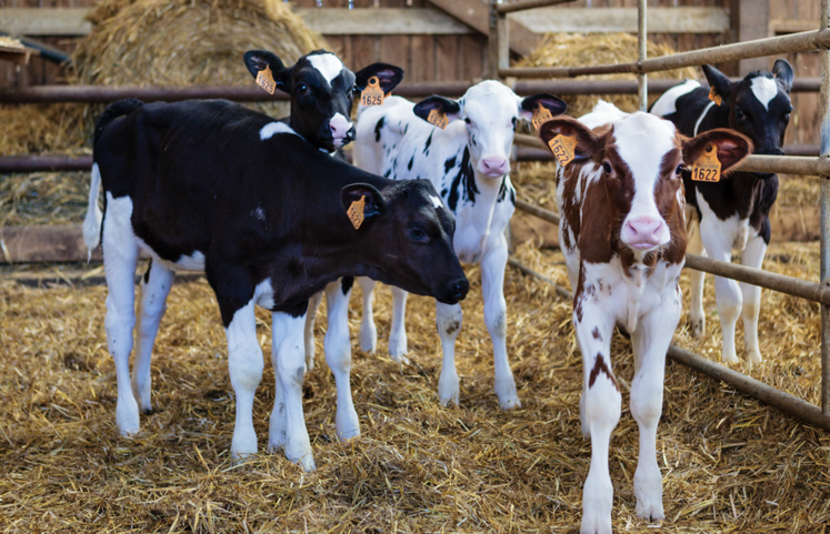 Les tableaux sur le détail des différentes conduites est à retrouver sur le site Internet caracterres.fr.
