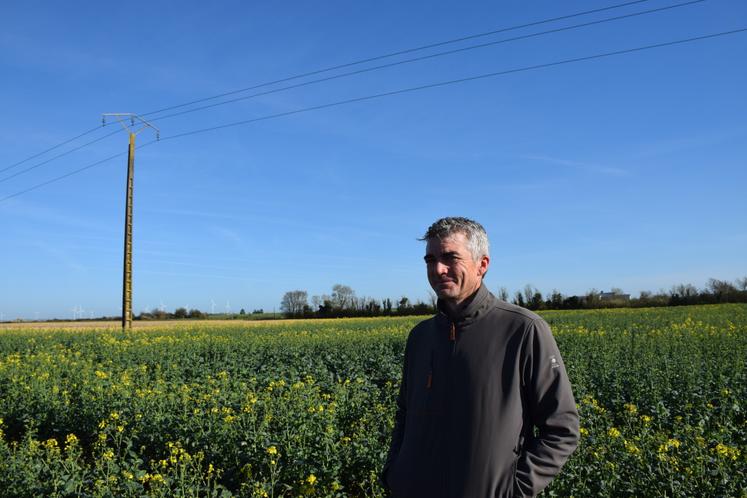Laurent Joret, responsable des cultures semencières à la Cavac. Il gère le positionnement de 1 600 colonies d'abeilles domestiques sur les 530 ha de colza semences de la coop.