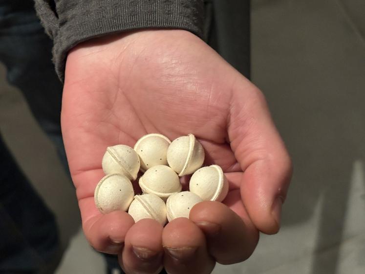 Les trichogrammes sont largués dans ces billes.