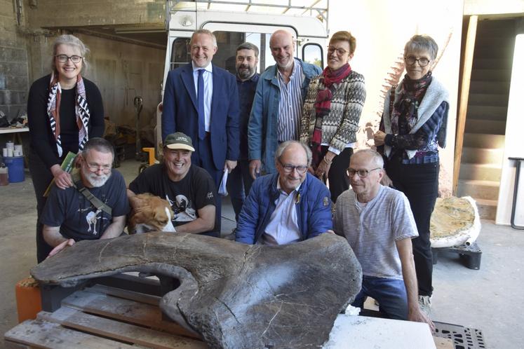 La scapula du camarasaure découvert à Angeac-Charente en 2024 a été reconstituée. Elle va bientôt rejoindre le musée d'Angoulême pour y être exposée.