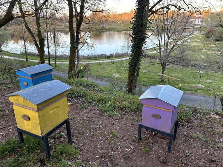 Un rucher communal a été installé à Montrollet en 2020.