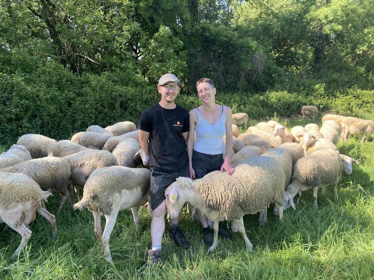 Pour lutter contre les grosses chaleurs, qui freinent l'appétit des brebis, Juliana Hurtevent et Baptiste Nourisson ressortent leur troupeau après la traite du soir. 