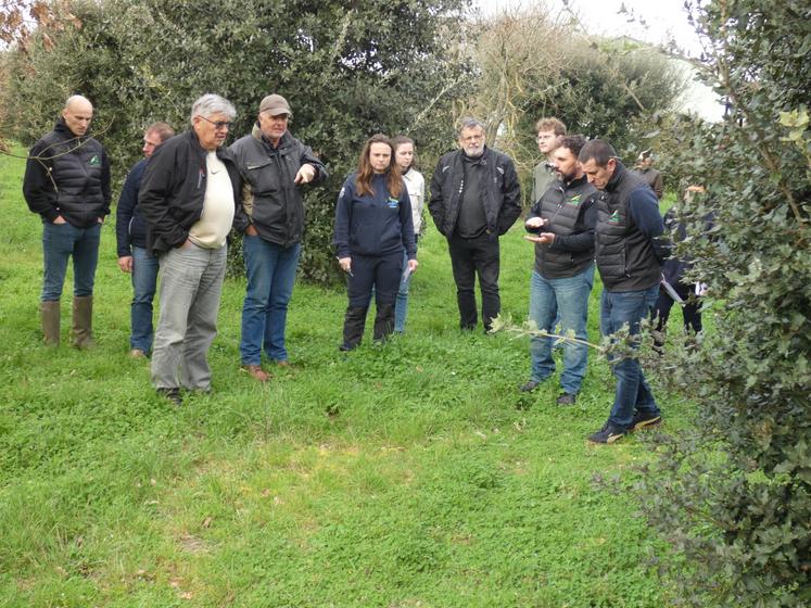 Une visite de terrain a permis de découvrir une truffière, où l'on distingue les contours du "brûlé" où peuvent être trouvées les truffes.