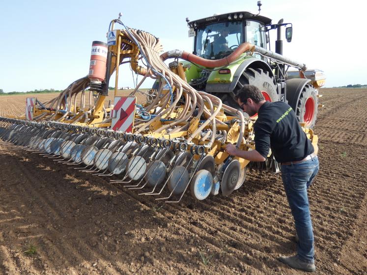 La fertilisation dès le semis permet de s'assurer que l'azote sera bien utilisé par le chanvre, pointe Benjamin Audé. La culture n'aura pas besoin de produits phytosanitaires ou même d'intervention mécanique avant sa récolte fin août - début septembre.