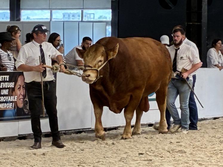 Christian et Thibault Laloi, habitués des podiums, se sont à nouveau distingués lors d'Aquitanima.