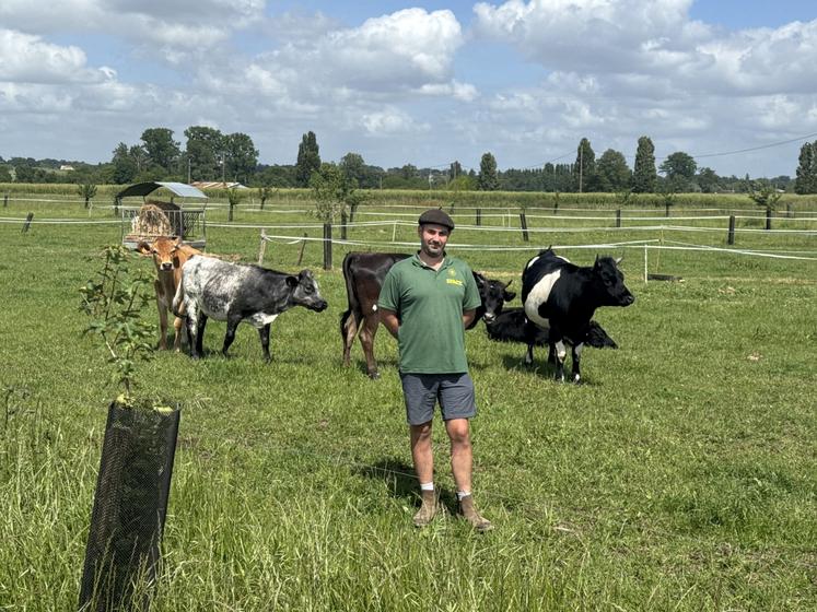 Mathieu Renaud, éleveur laitier bio à Baignes-Sainte-Radegonde, fait de la sélection en croisant des vaches rustiques.