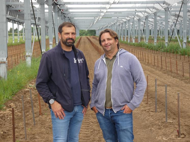 Alexis et David Moreau accueillent cette parcelle agrivoltaïque de 4,4 ha sur leur exploitation.