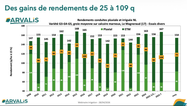 Rendements conduites pluviale et irriguée.