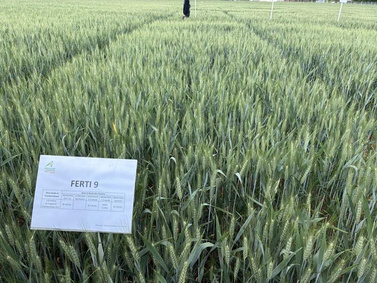 La Chambre d'agriculture a présenté ses essais sur la fertilisation du blé menés à Barret.