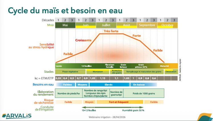 Stade et mises en place des composantes.
