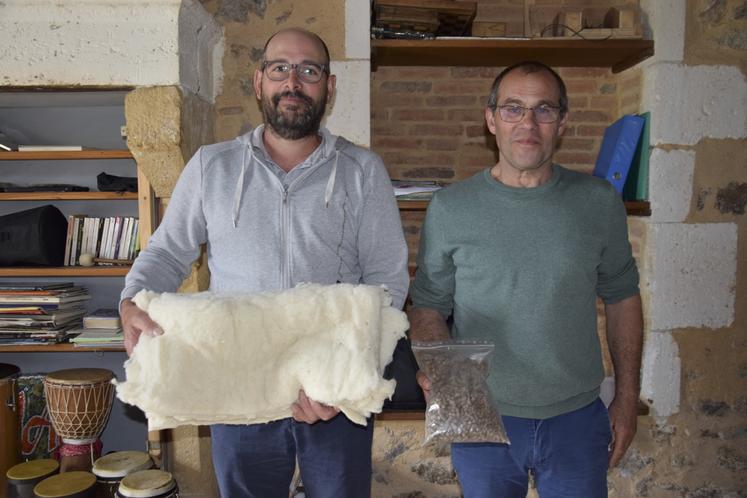 Textile ou fertilisant ? La laine de mouton peut être revalorisée de multiples façons.