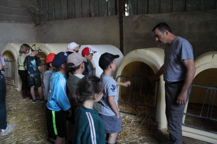Les élèves accompagnés de leurs enseignants ont découvert la vie à la ferme avec l'éleveur.