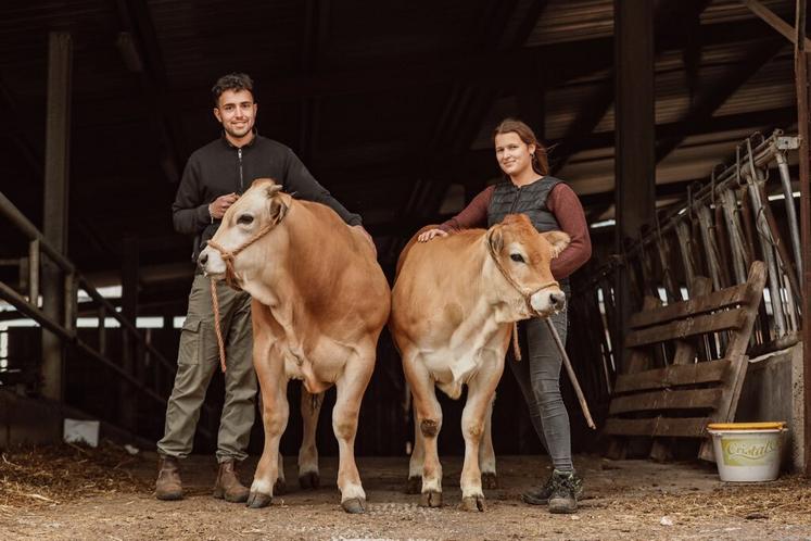 Aux Châteliers, Nicolas et Éloïse Delangavant, aidé d'Hilaire, le père de Nicolas, s'attèlent au dressage des animaux qui concourront sur le ring les 12 et 13 juin.