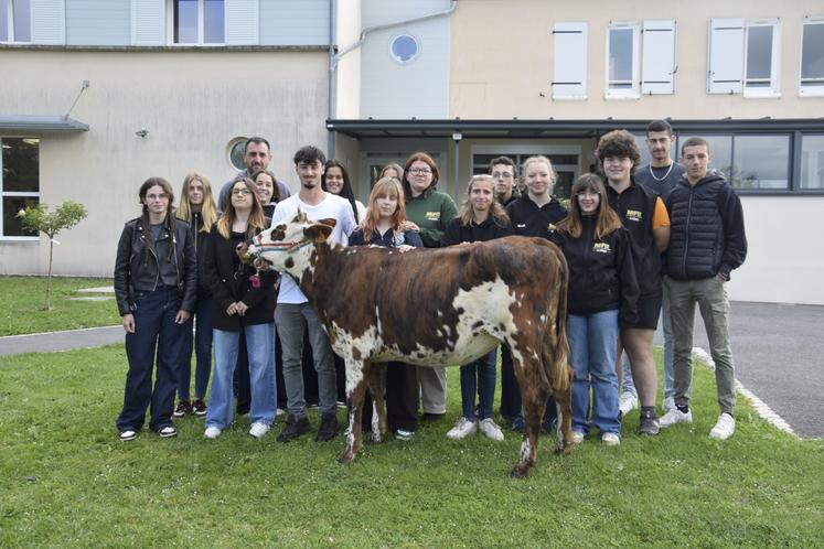 Les élèves de terminale BAC CGEA de La Péruse posent avec Vanille, une normande qui a été exposée le week-end dernier à Aigre.
