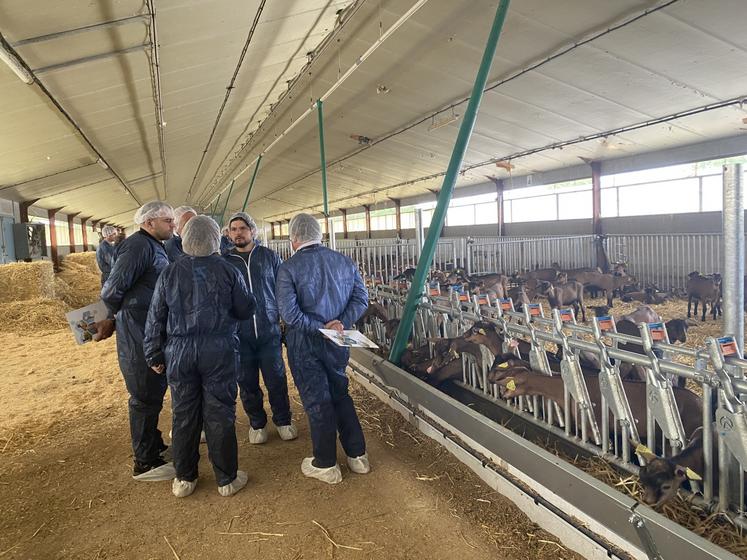 Entre 20 et 25 éleveurs, consultants et techniciens caprins des 4 coins du monde, se sont retrouvés à la pépinière de chevrettes de Freddy Revereau à Cirières.